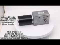 DC 웜 기어 모터